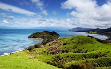 New Zealand dollar (NZD)